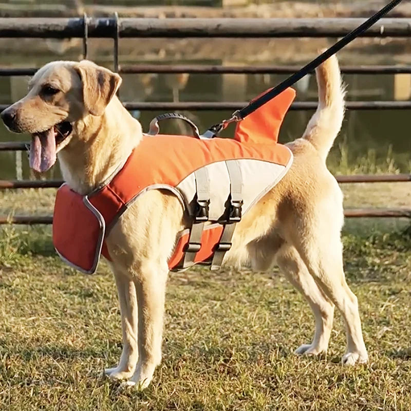 Cute pet life jacket